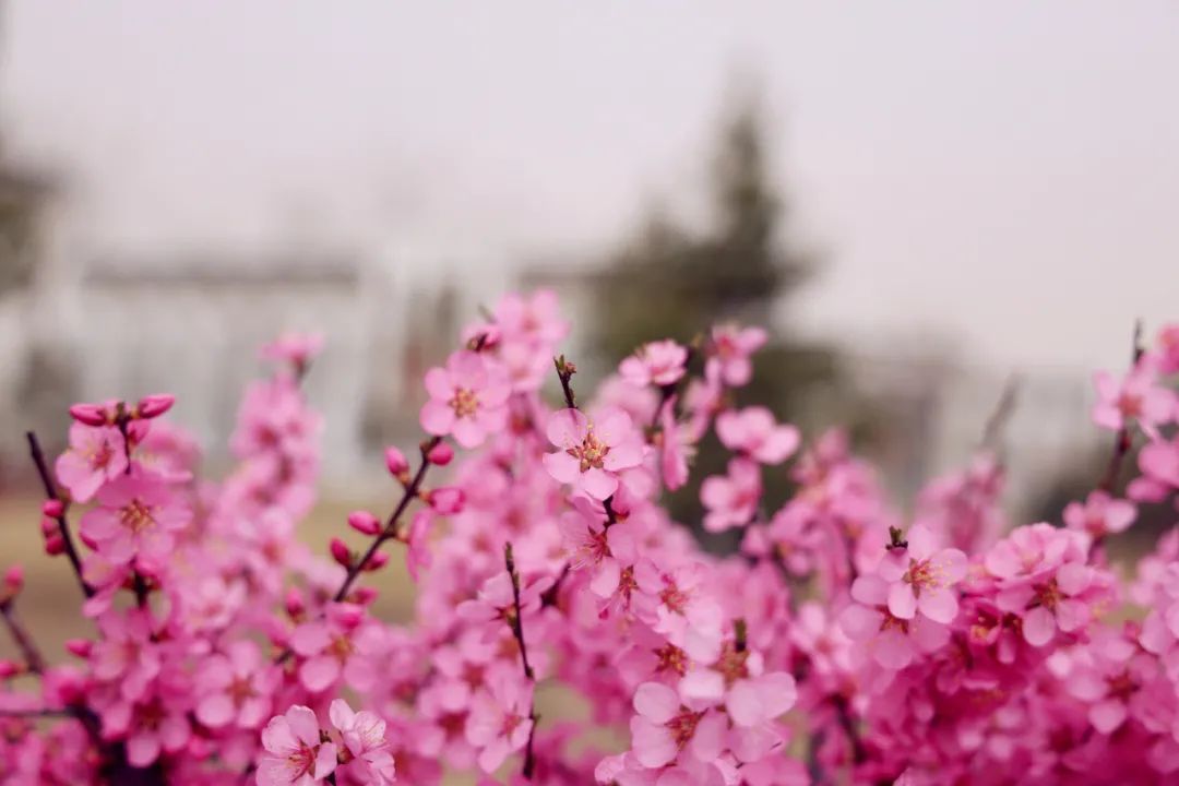 图片 4.jpg
