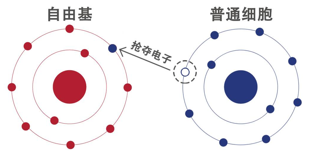 伟德国际BETVlCTOR(中国)官方网站